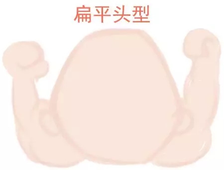 宝宝圆头好照旧扁头好？？？这些神秘许多爸妈都不知道2.webp.jpg